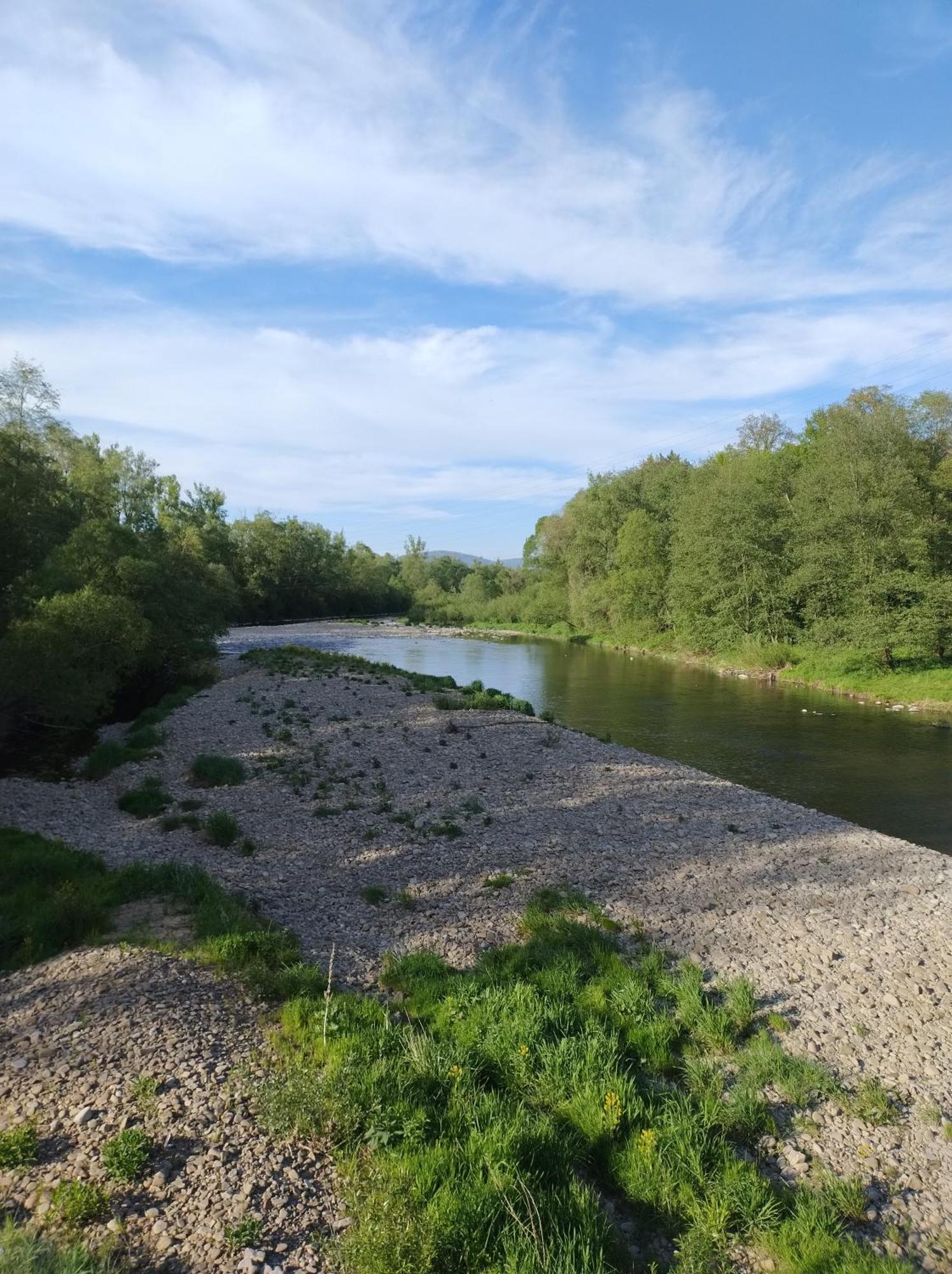 Domek Zgredek Zywiec Bagian luar foto